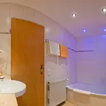 胡伯霍夫兰德酒店 3* 施万高